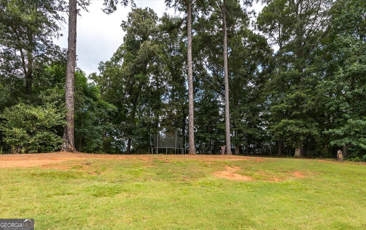 59 Oakwood Drive Forsyth - 30