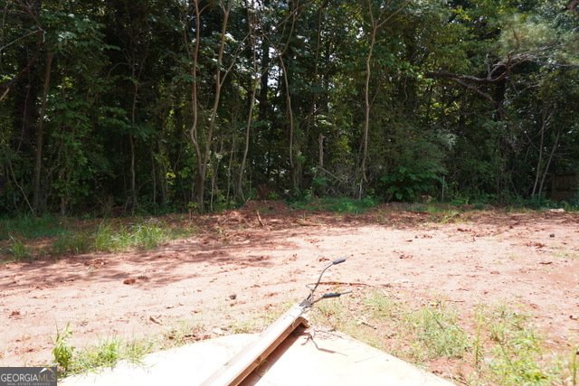 3272 Corktree Trail Lithonia - 4