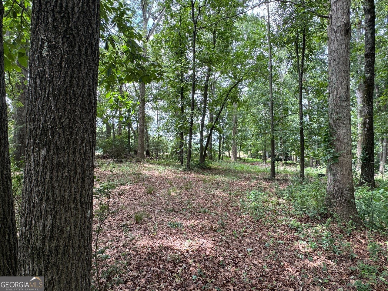 800 W Williamson Road Williamson - 15