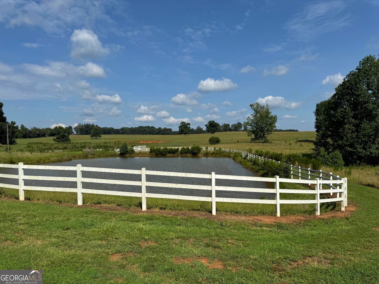 800 W Williamson Road Williamson - 65