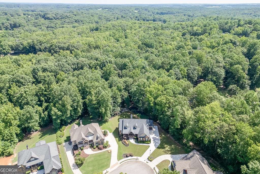 531 Meadow Lake Terrace Hoschton - 51