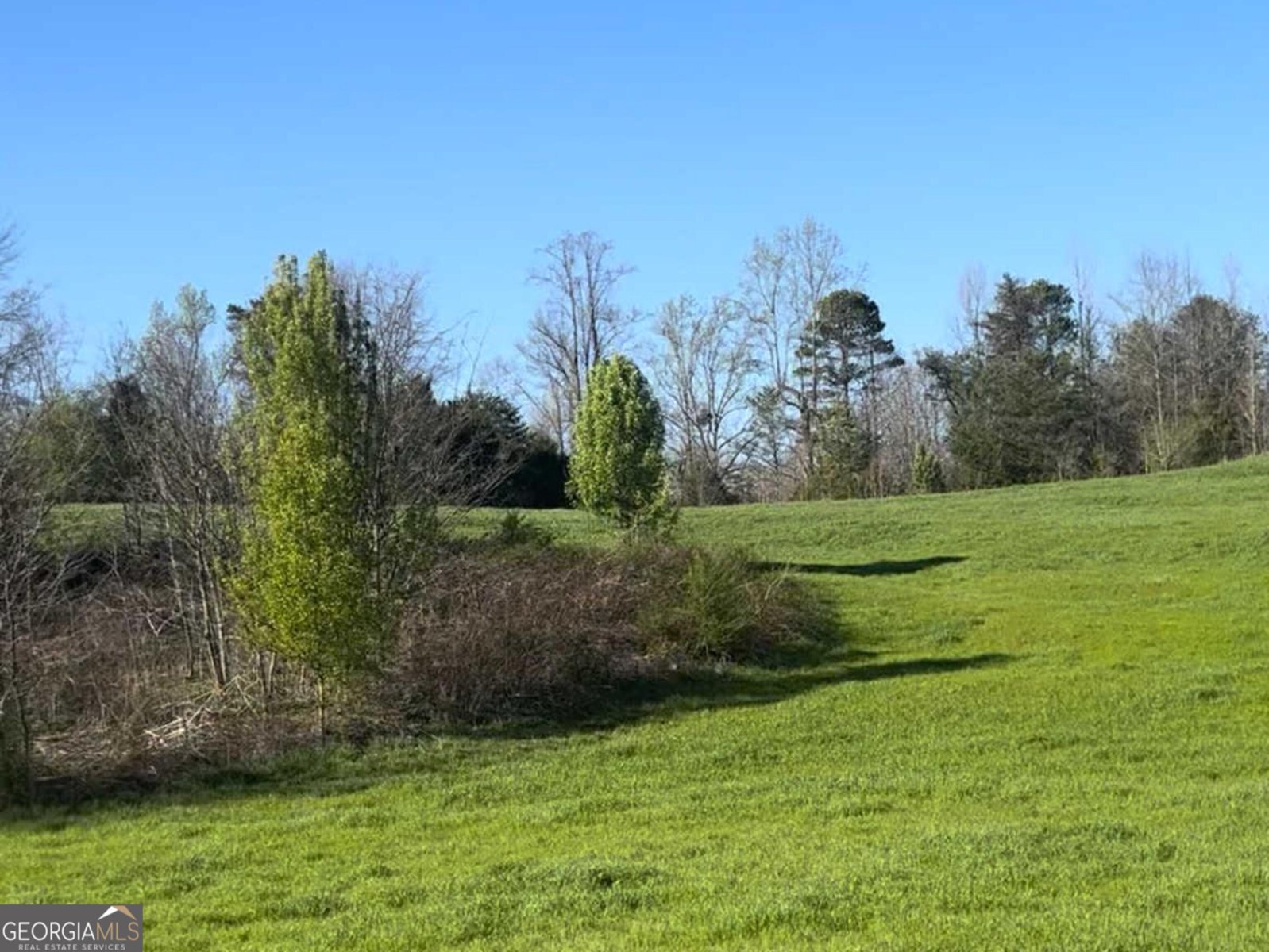 269 Garrison Shoals Road Lula - 2