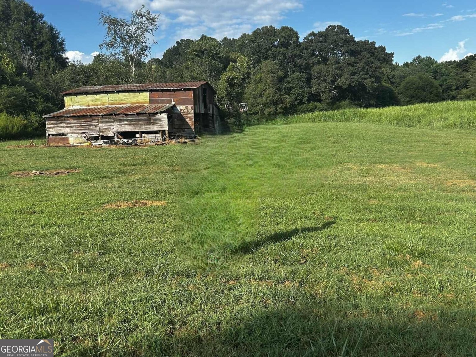 269 Garrison Shoals Road Lula - 3