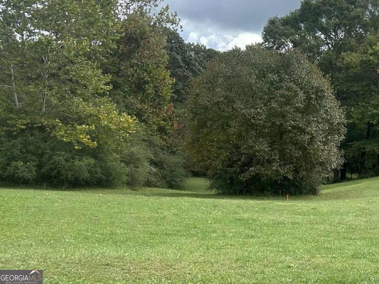 269 Garrison Shoals Road Lula - 4