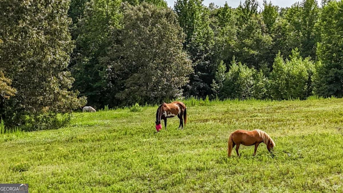 3629 Wayside Road Kingston - 10