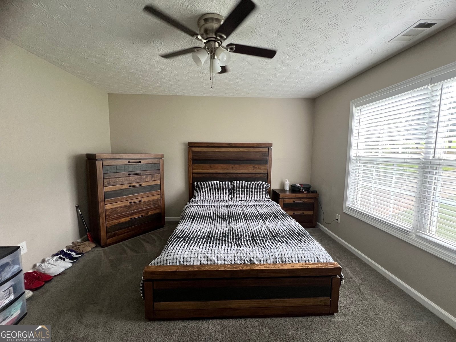 729 Forestglen Drive McDonough - 29