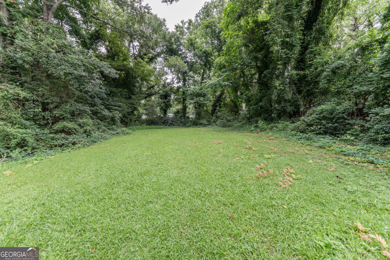 2894 3rd Avenue Atlanta - 19