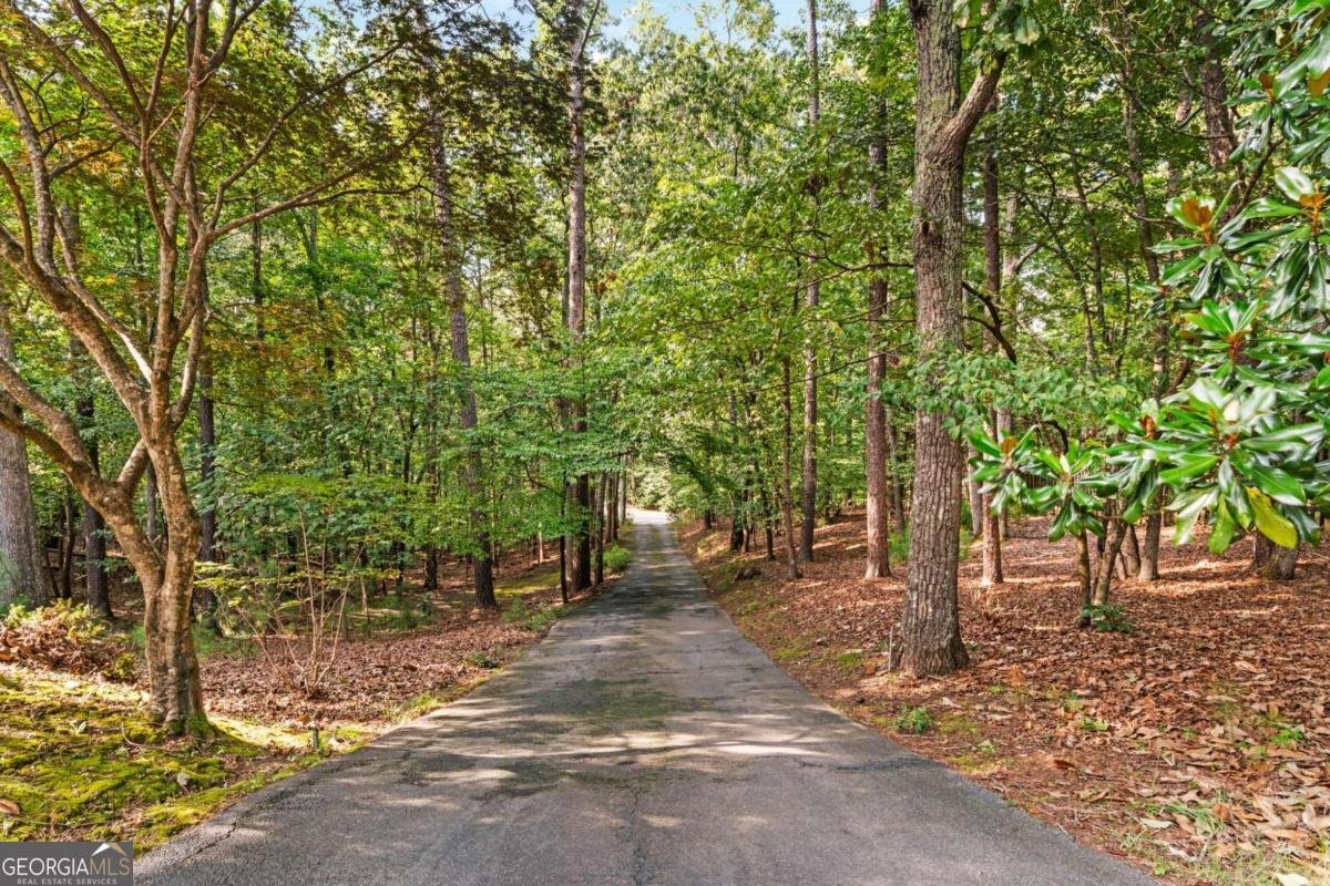 317 Green Ridge Road Cartersville - 32