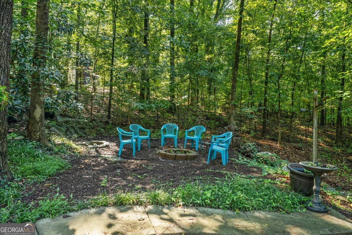 3205 Woodhaven Court Conyers - 45