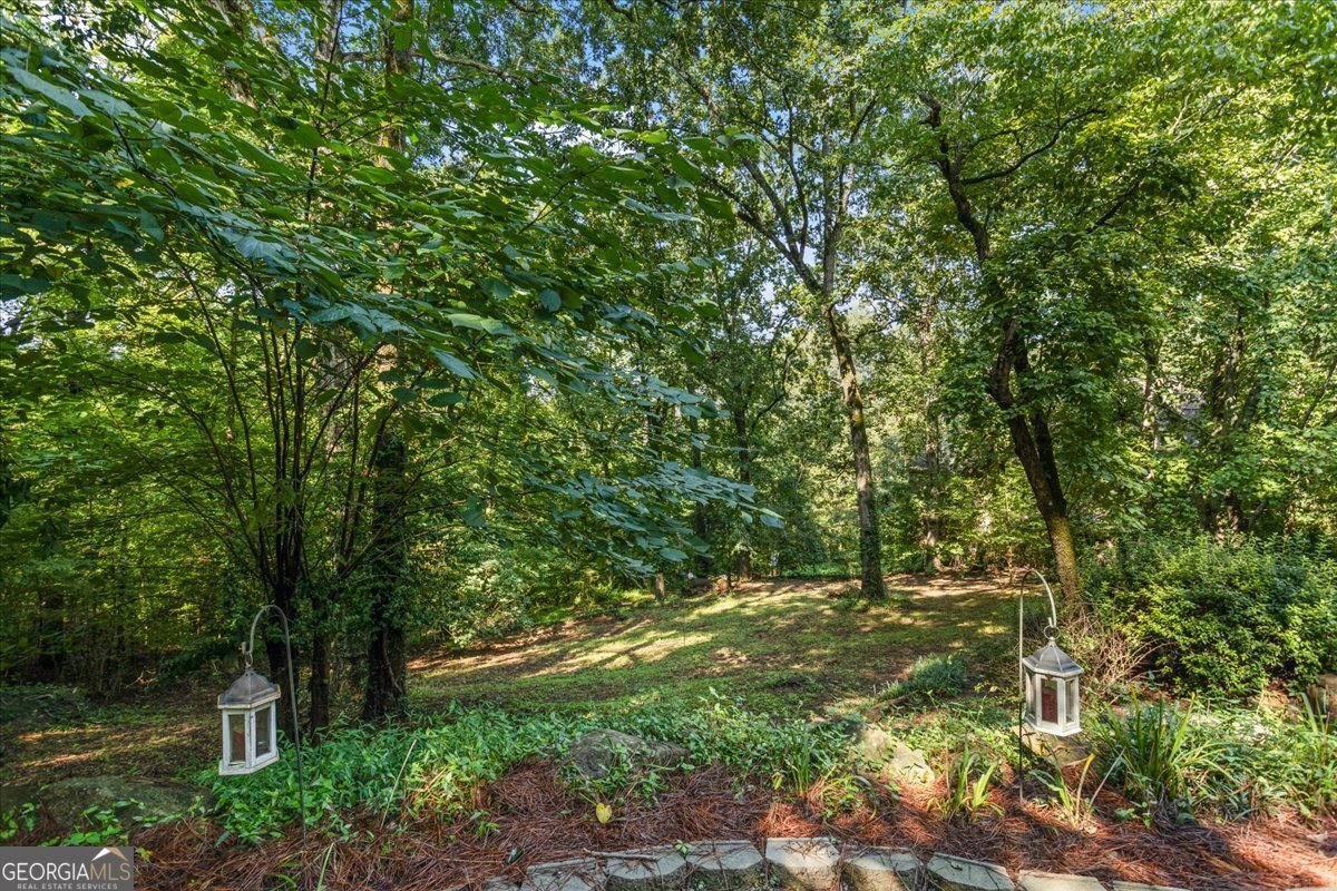3205 Woodhaven Court Conyers - 47