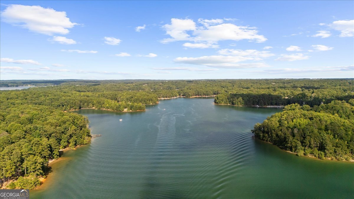 6402 Lakeview Drive Buford - 12