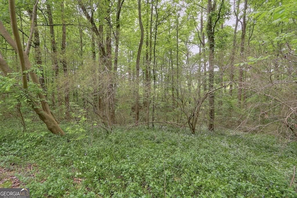 2626 Hickory Road Canton - 5