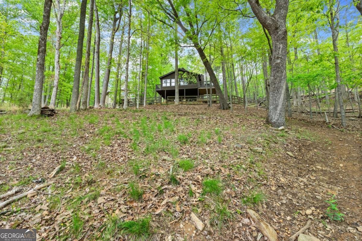 19 Long Swamp Drive Jasper - 27