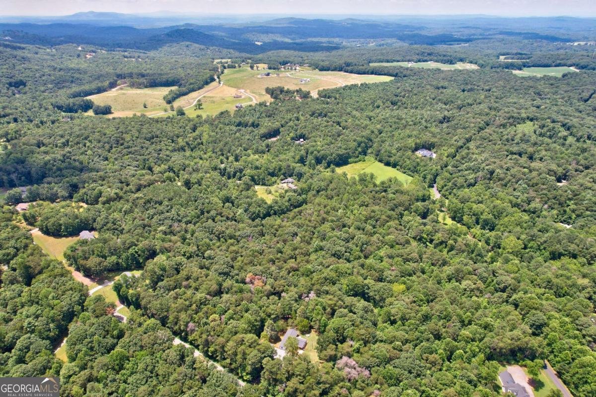 52 Homer Wright Road Ellijay - 66