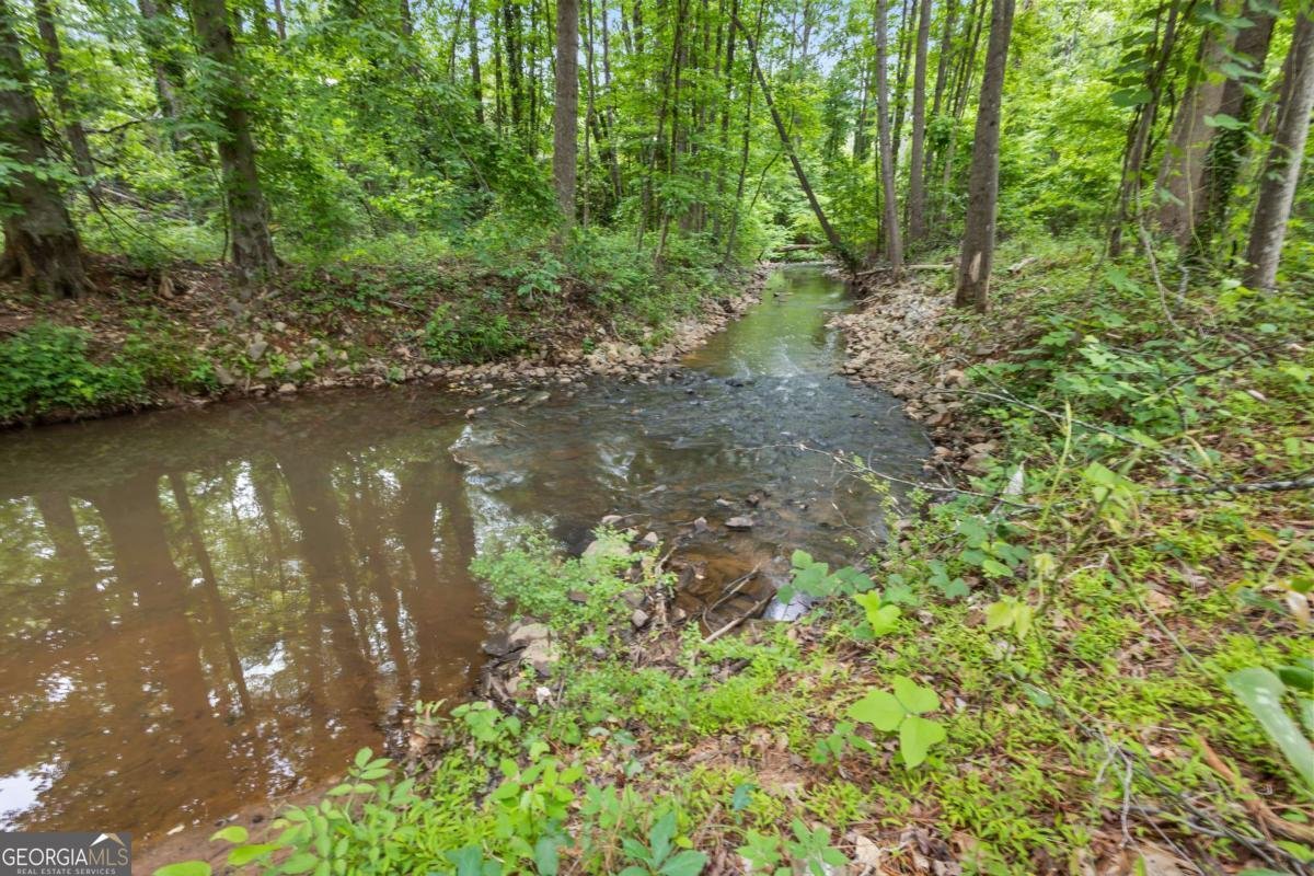 9438 Cedar Creek Place Douglasville - 29