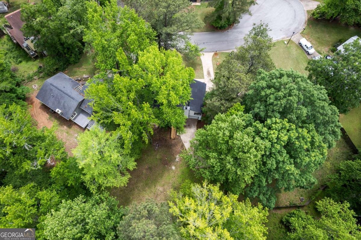 9438 Cedar Creek Place Douglasville - 38