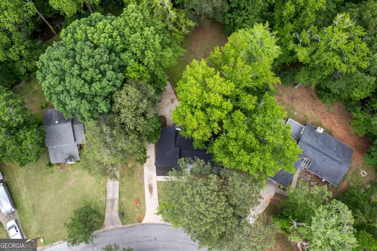 9438 Cedar Creek Place Douglasville - 39