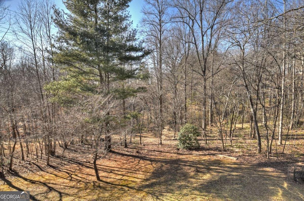 163 Teboe Drive Blairsville - 19
