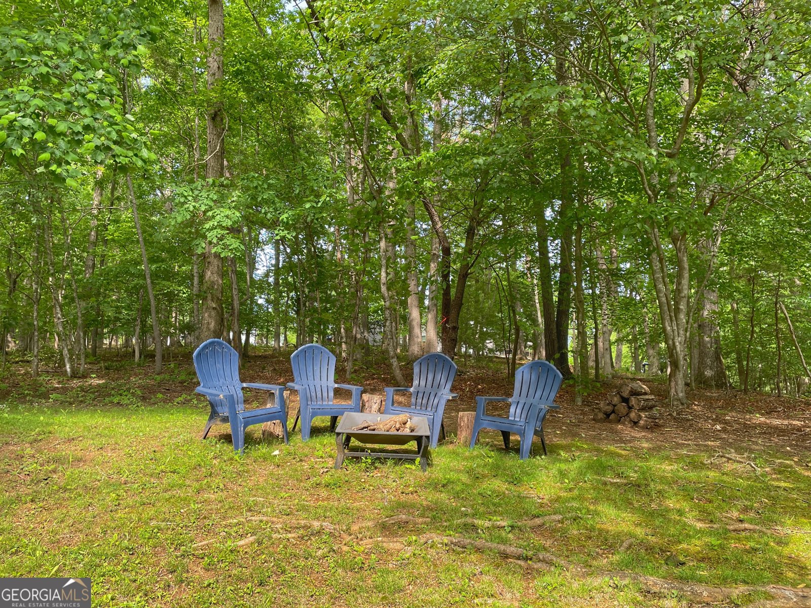 163 Teboe Drive Blairsville - 6