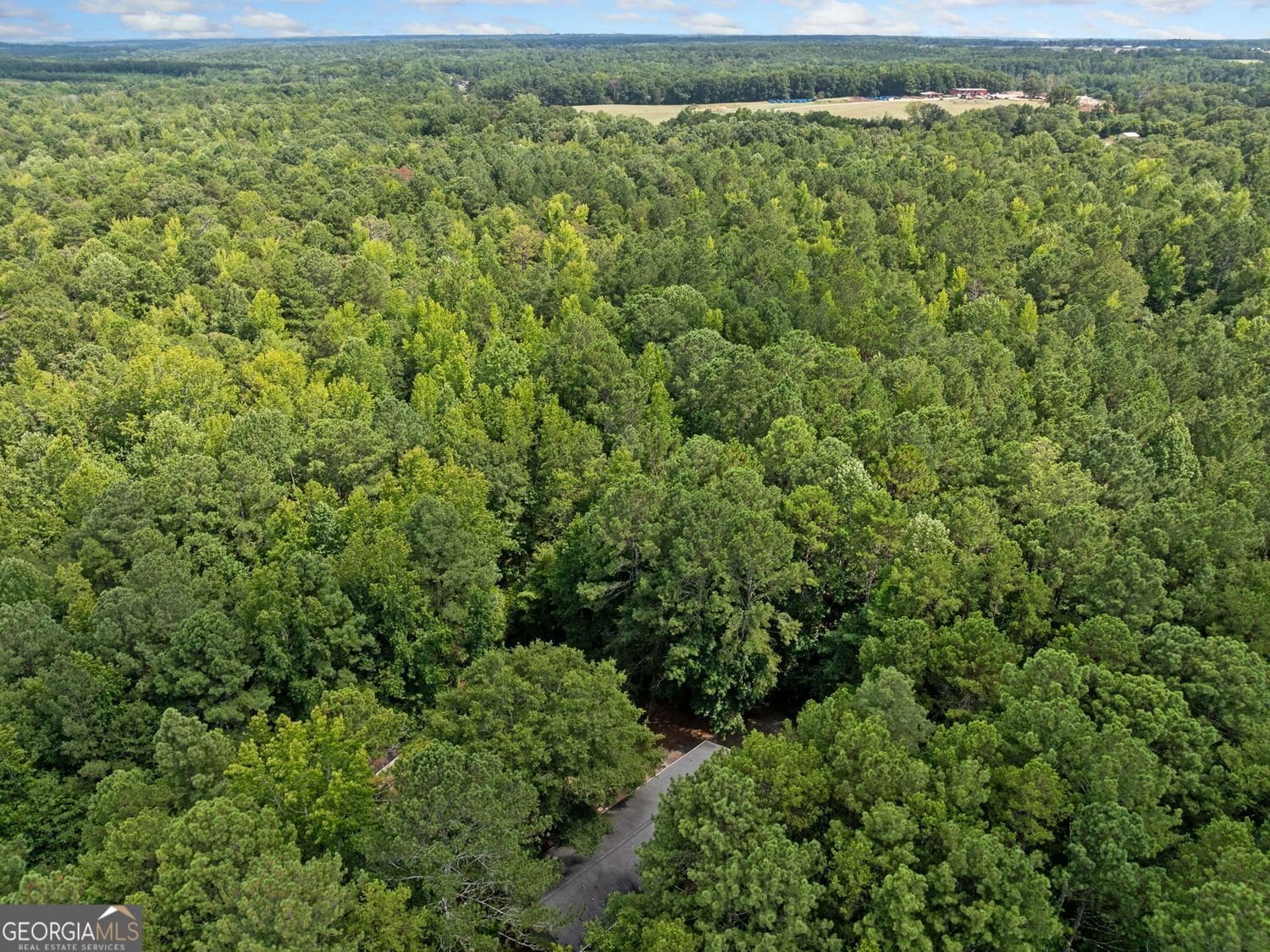 4321 Highway 186 Good Hope - 25
