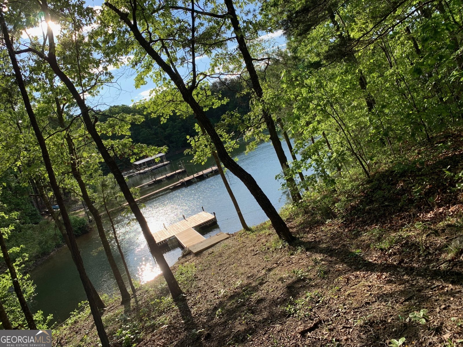 26 Chief Lane Hartwell - 65