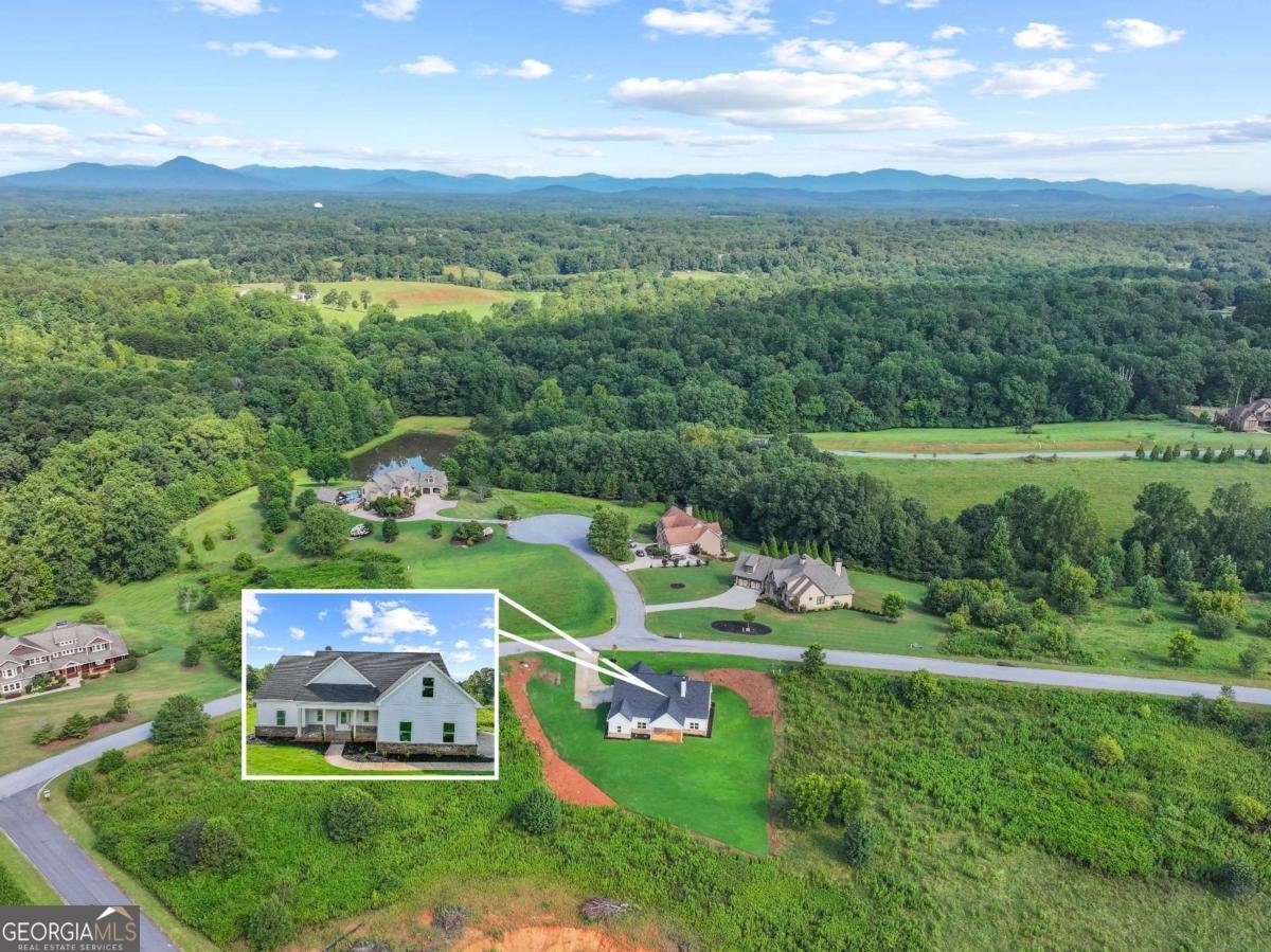 323 Sweetgrass Drive Demorest - 13