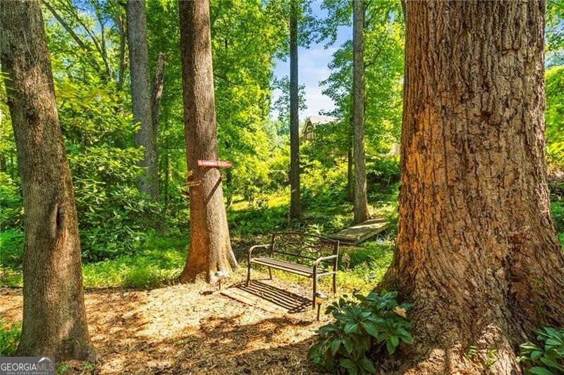 1157 Hancock Drive Atlanta - 37