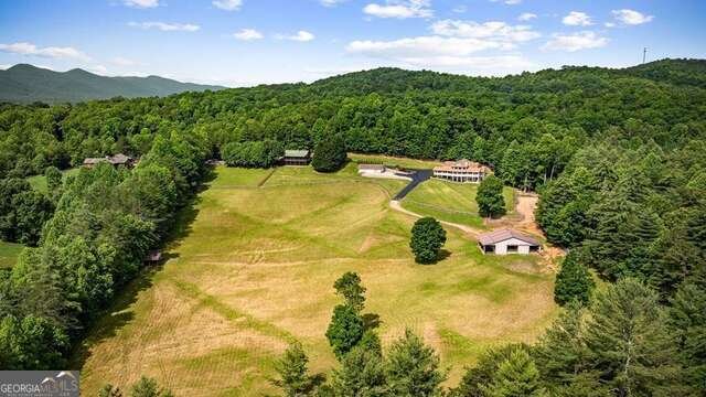 341 Holly Lane Road Blairsville - 2