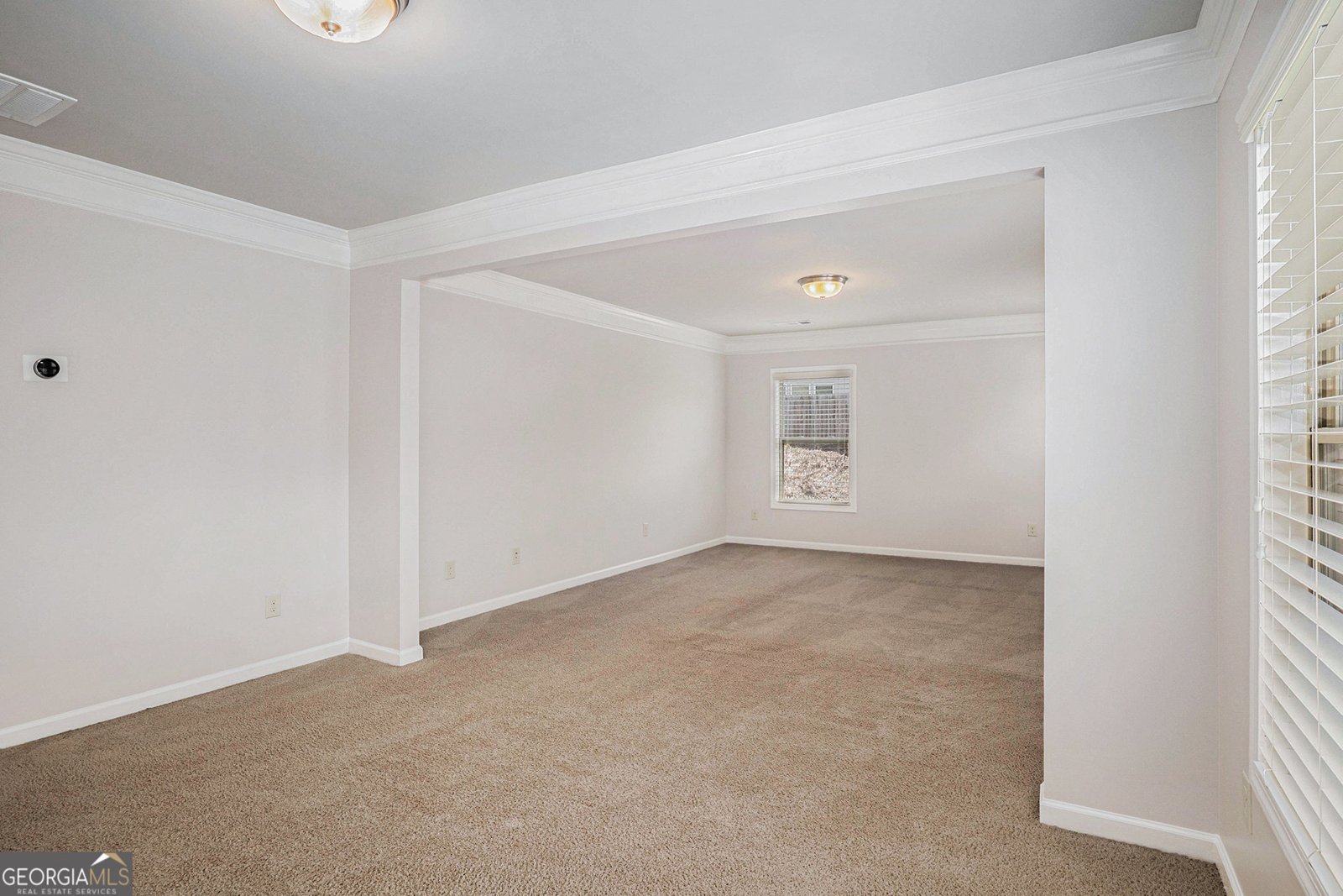 4650 Silver Meadow Drive Buford - 19