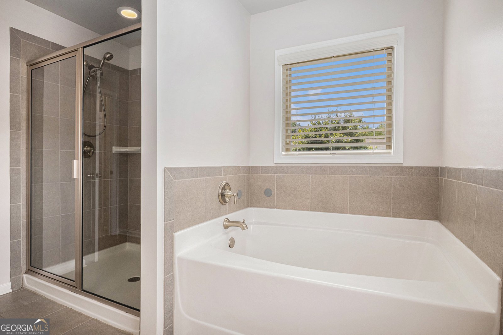 4650 Silver Meadow Drive Buford - 21