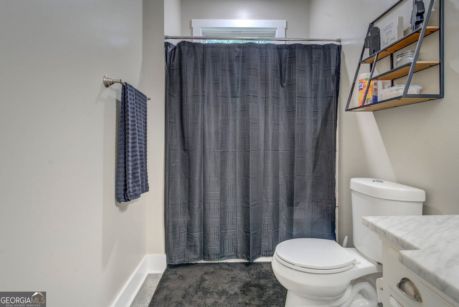 316 Elks Club Road Covington - 33