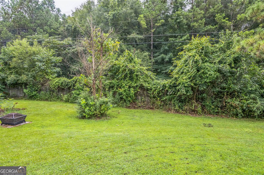 3017 Brass Drive Austell - 19