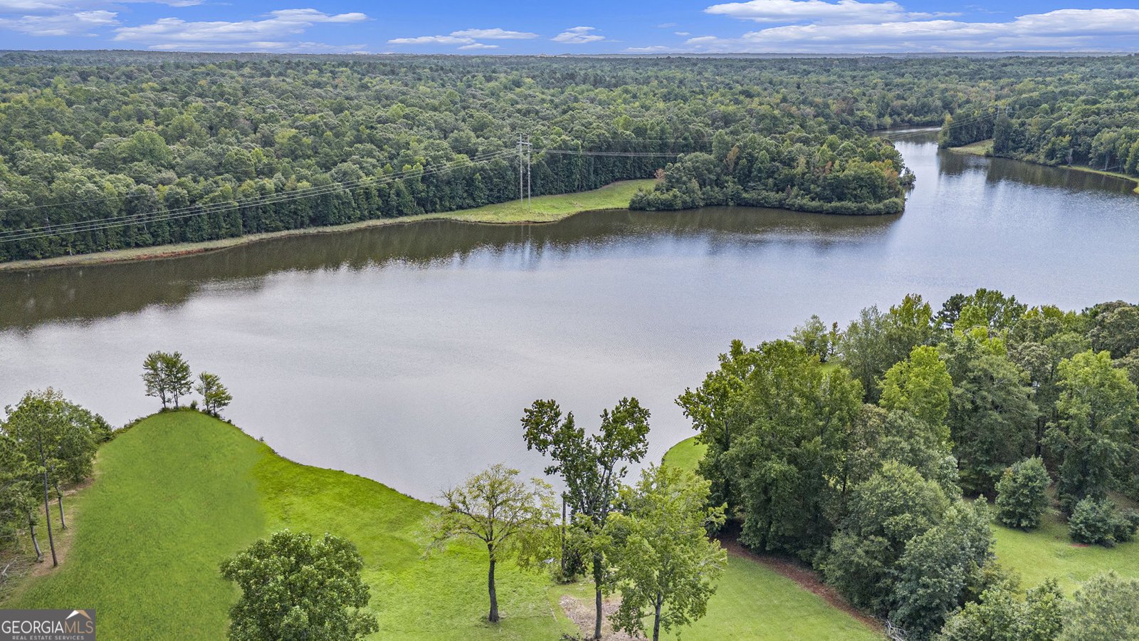 12328 Edgewater Drive Hampton - 1