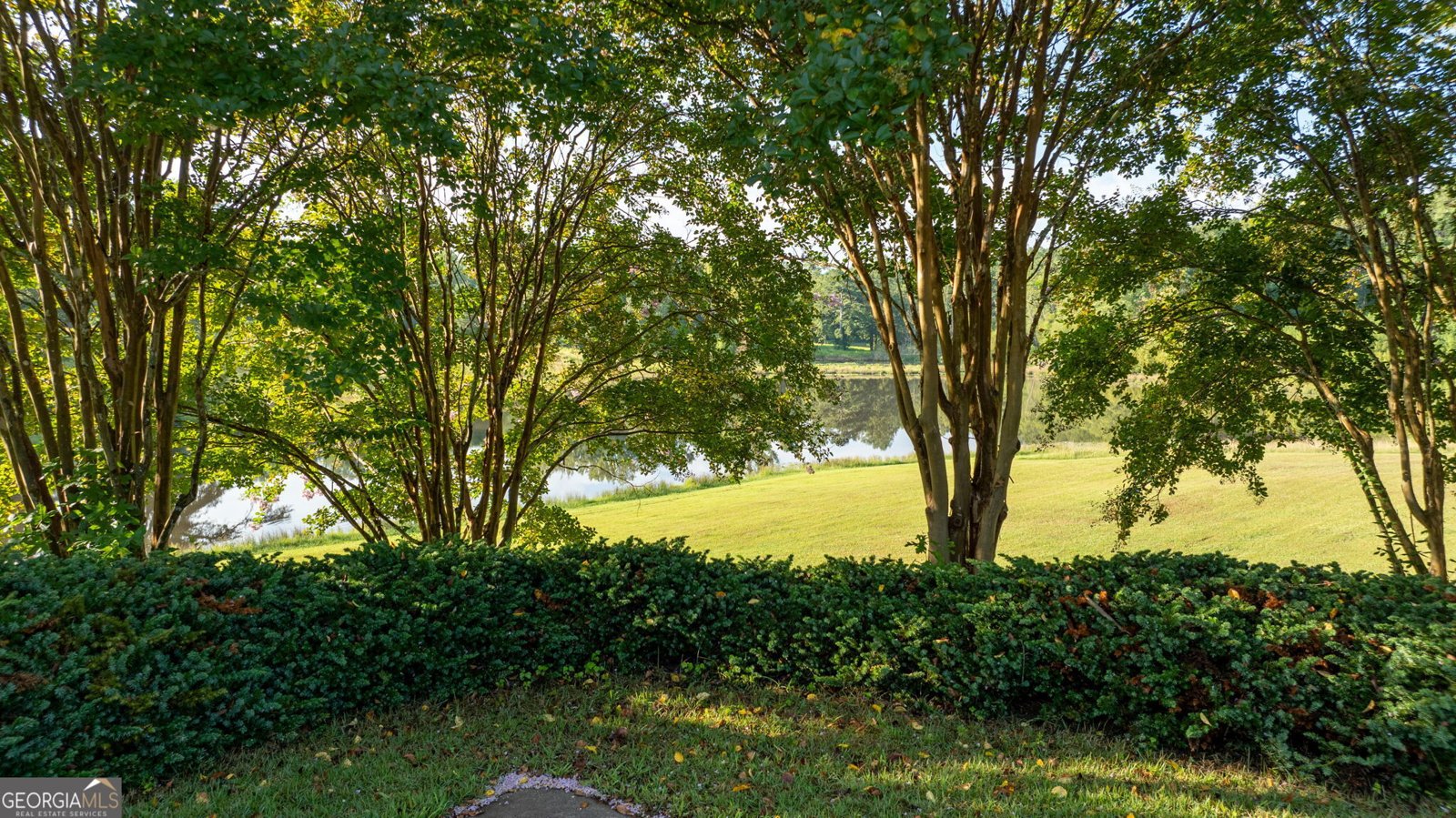833 Hines Road Moreland - 77