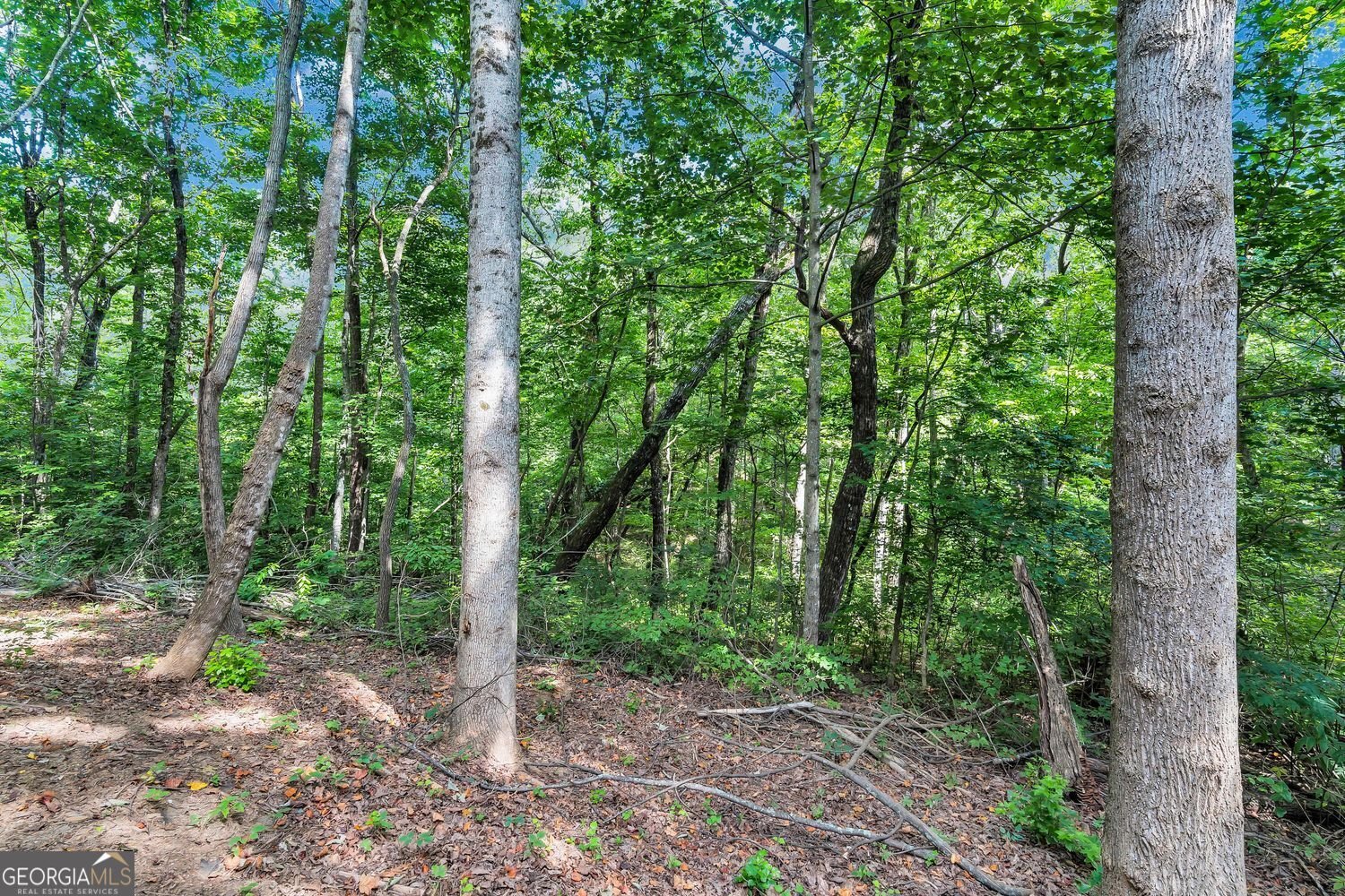 164 Mossburg Trail Jasper - 24