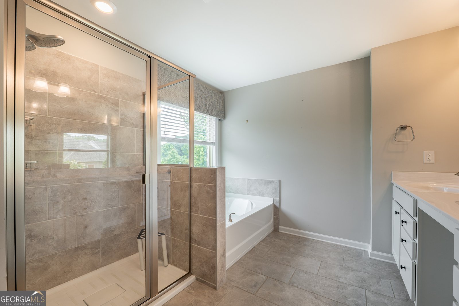 4360 Lanier Park Drive Buford - 14