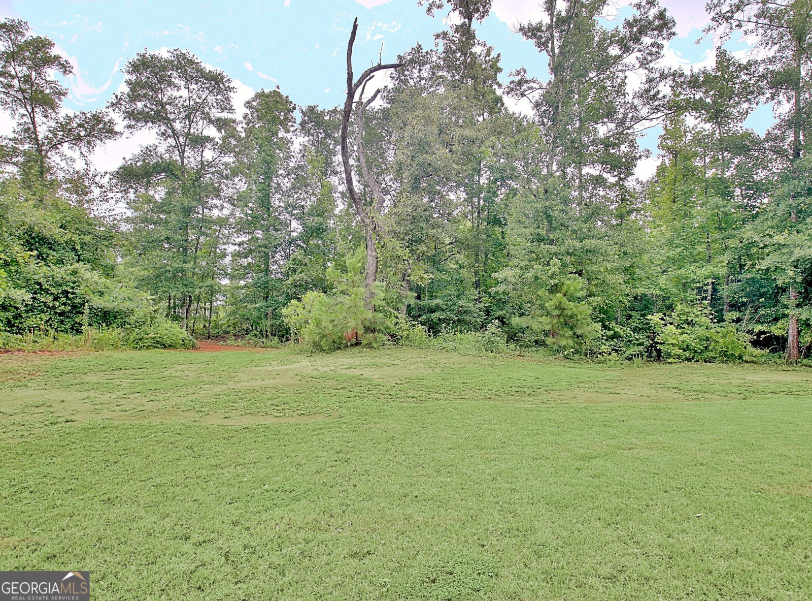 5548 Hwy 362 Williamson - 35