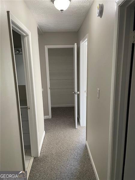3621 STEDMAN Place Duluth - 22