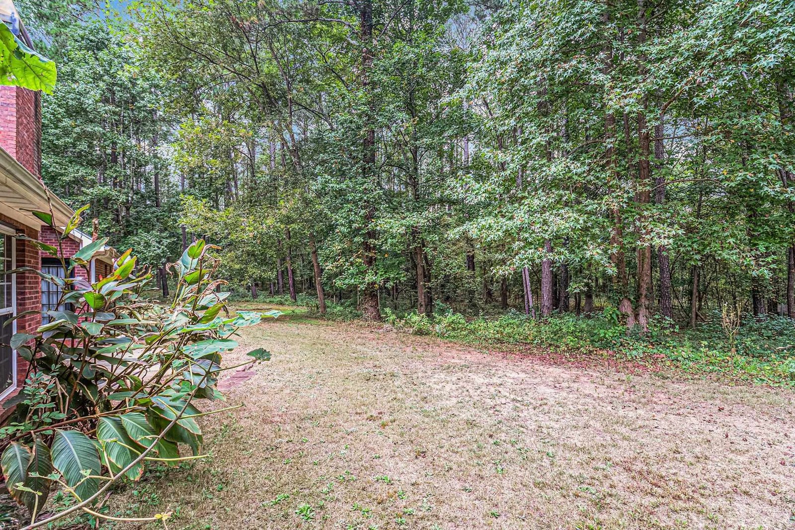 137 Honey Creek Road McDonough - 34