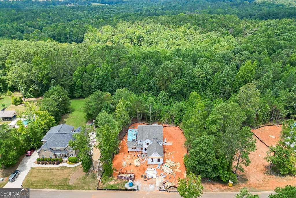 1241 Riverhill Drive Bishop - 9