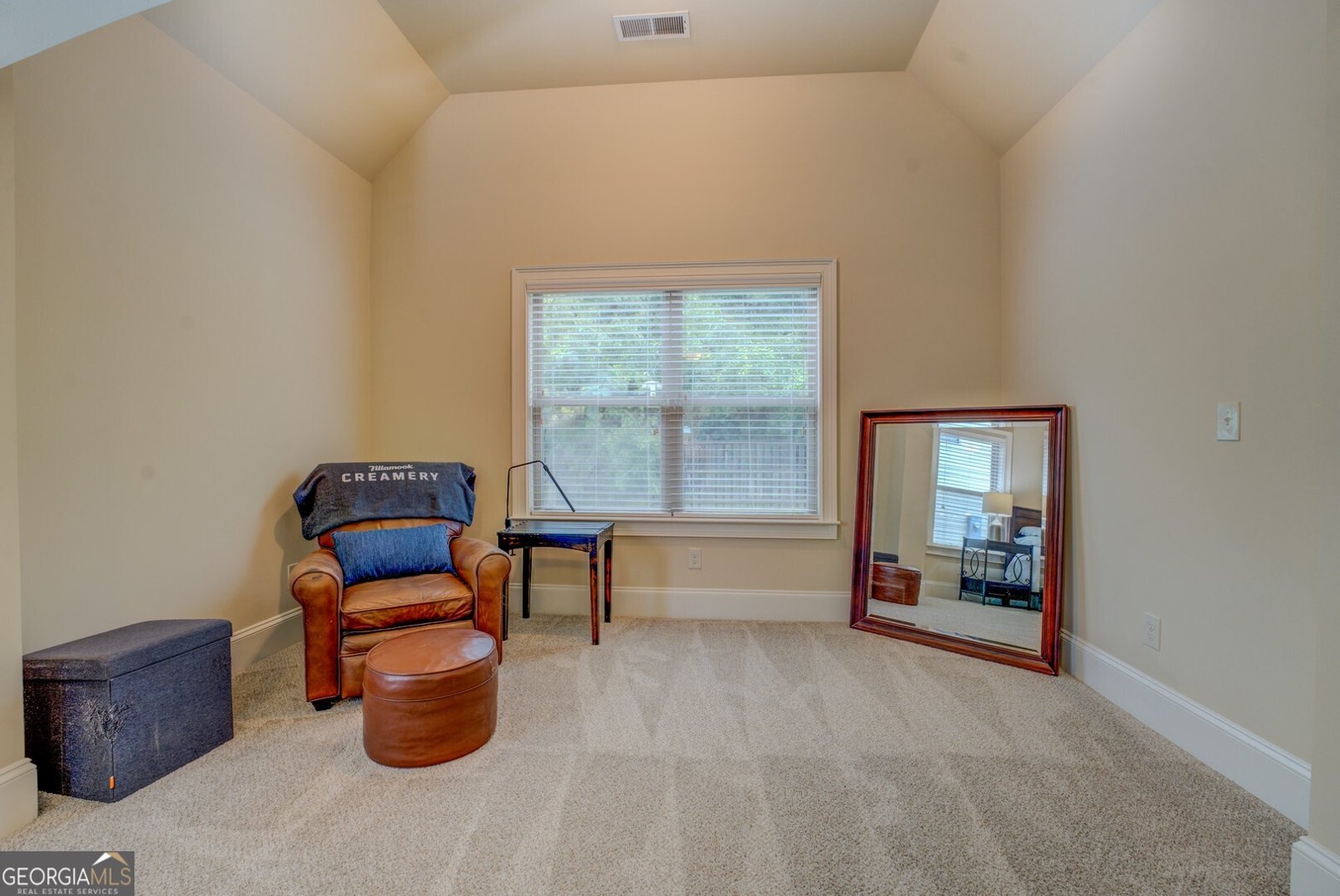 209 Birchwood Drive Loganville - 25