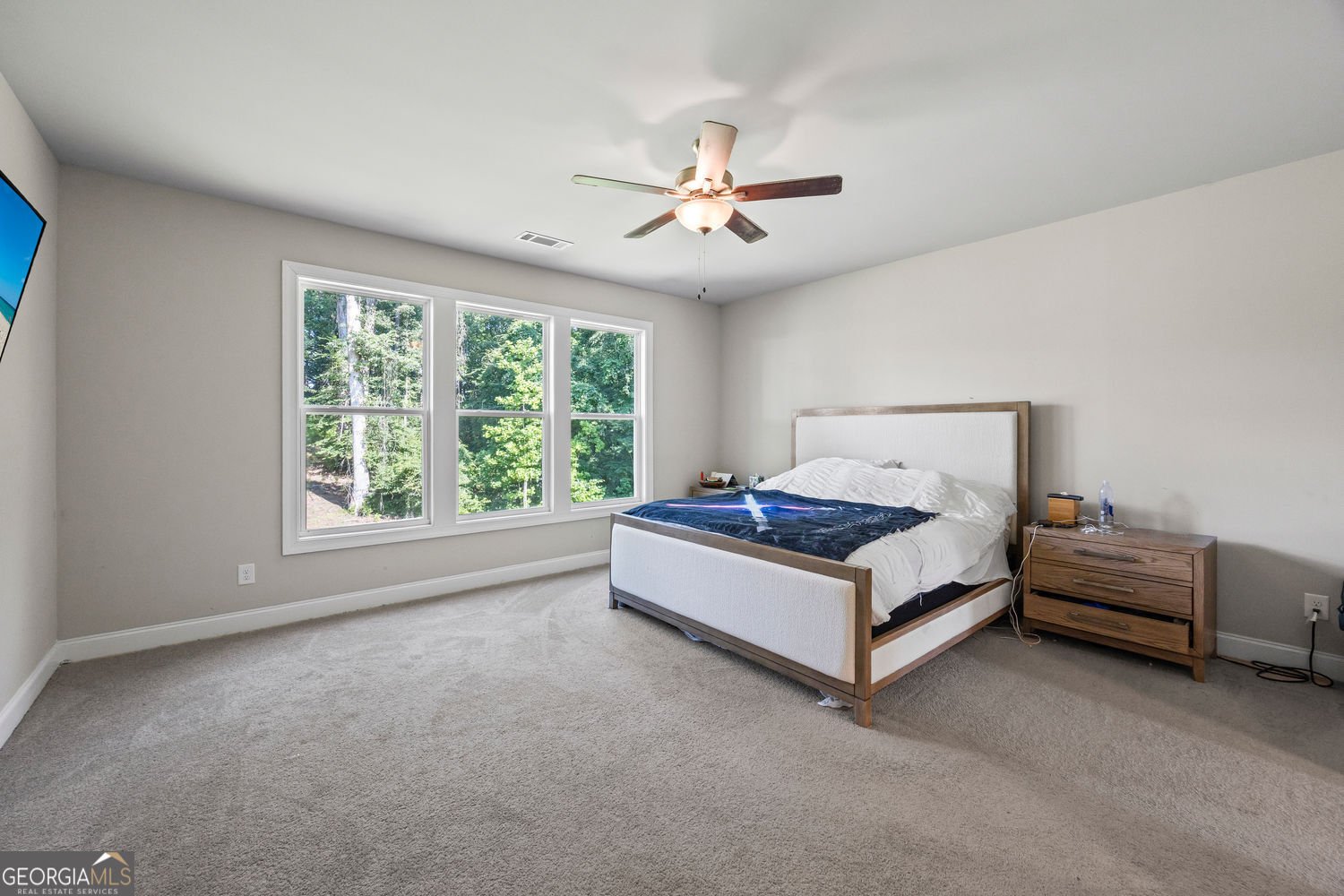 1830 Sauterne Drive Hoschton - 17