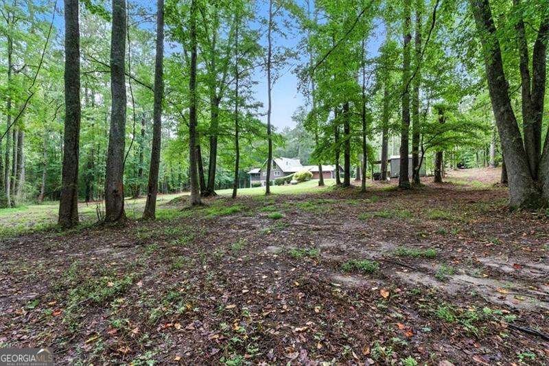 821 Prickett Lane Douglasville - 45