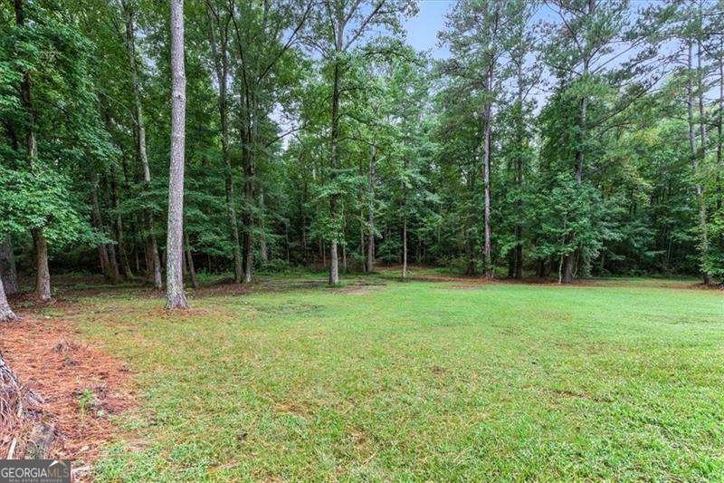 821 Prickett Lane Douglasville - 46