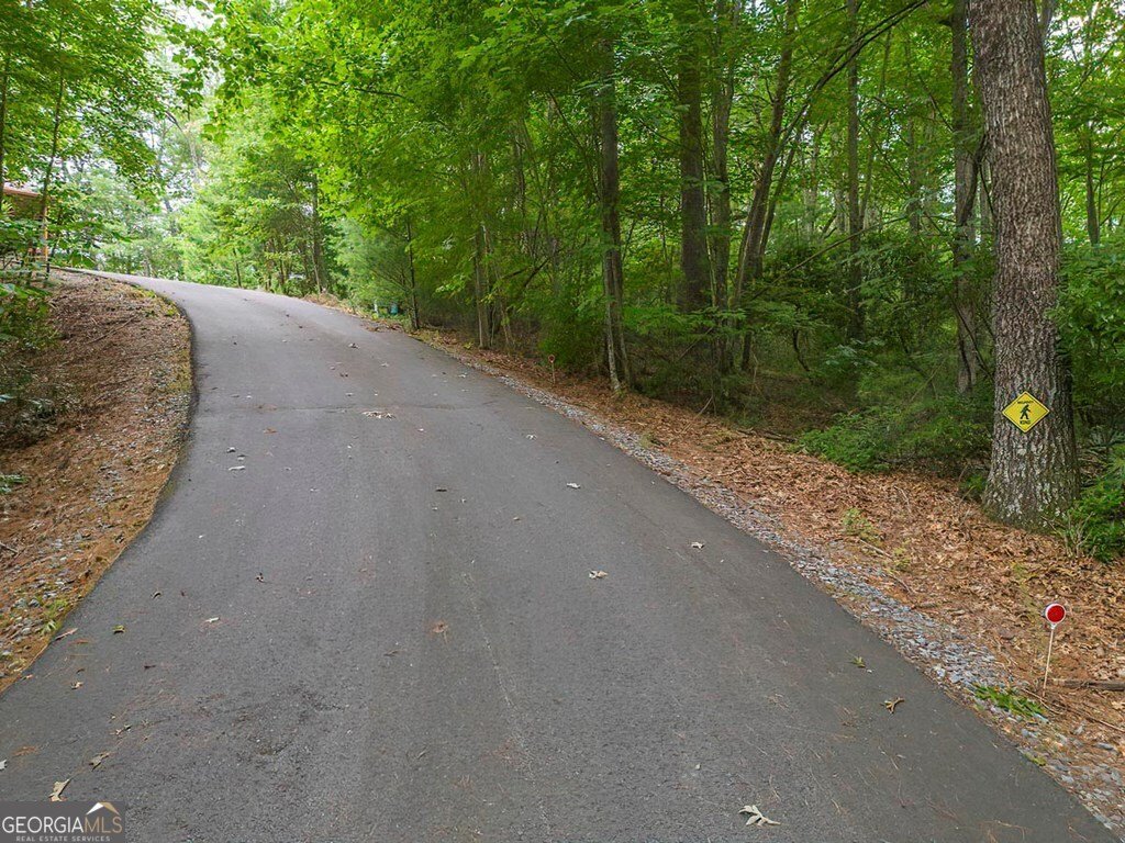 35 Leatherwood Mtn Road Cherry Log - 47