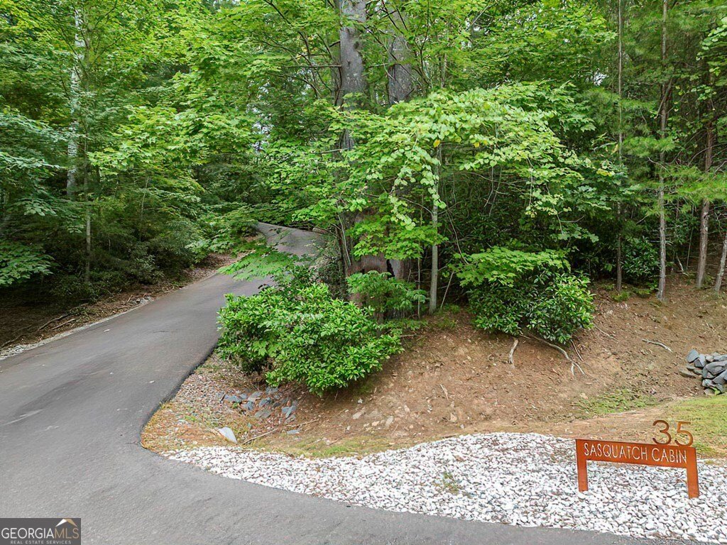 35 Leatherwood Mtn Road Cherry Log - 48