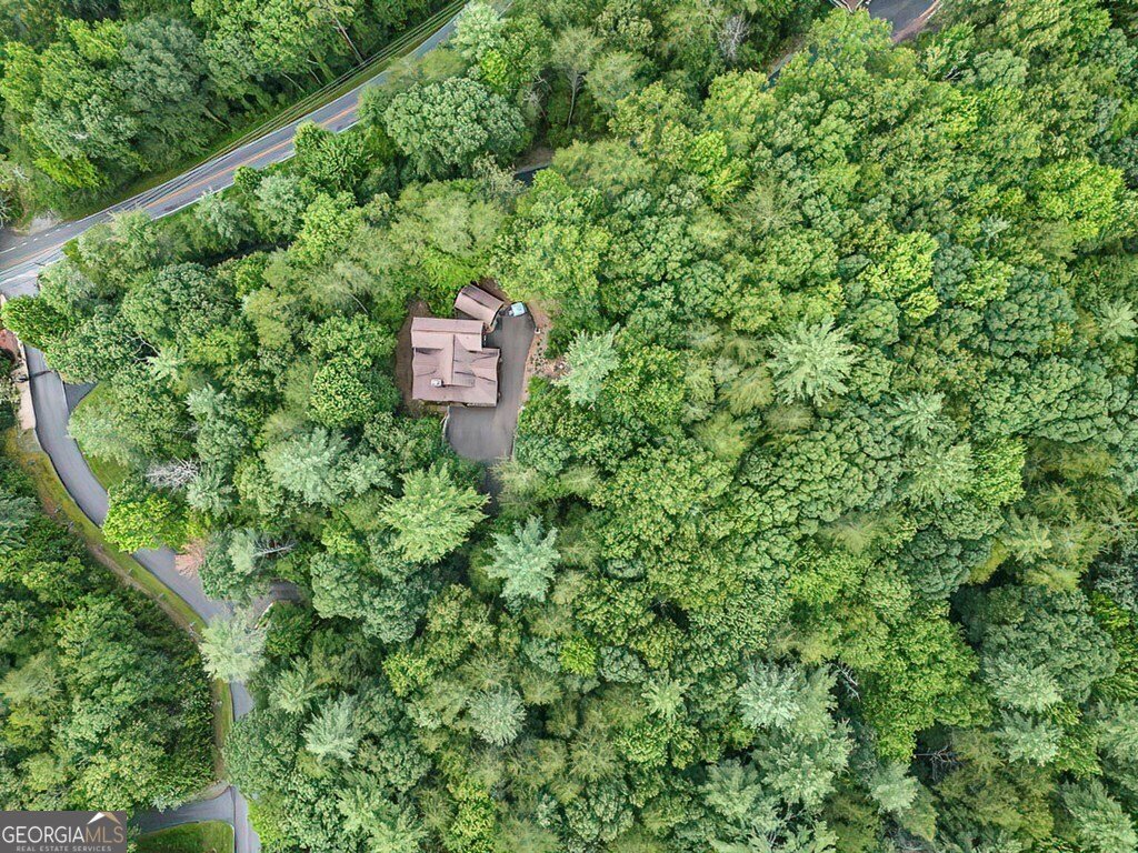 35 Leatherwood Mtn Road Cherry Log - 49