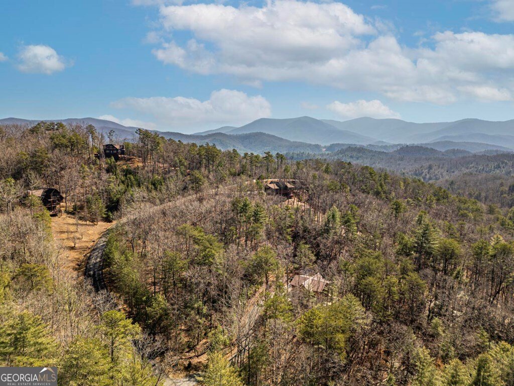 35 Leatherwood Mtn Road Cherry Log - 53