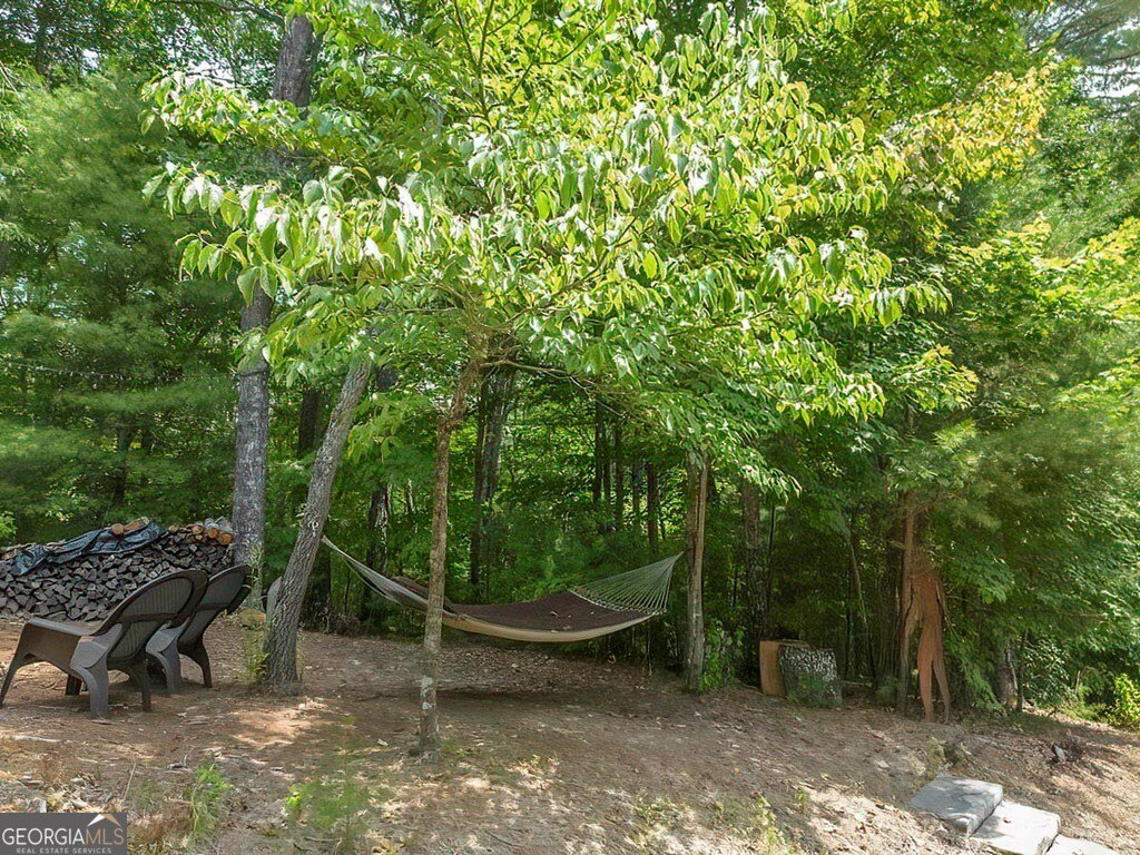 35 Leatherwood Mtn Road Cherry Log - 55