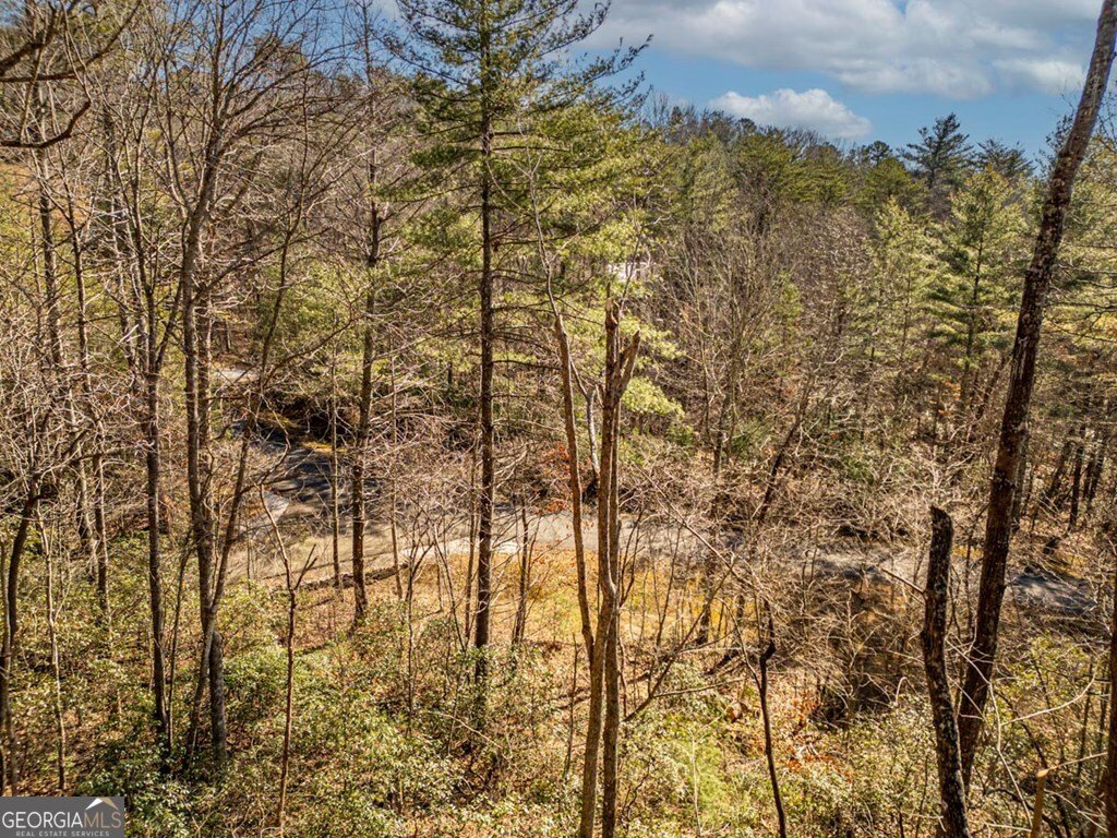 35 Leatherwood Mtn Road Cherry Log - 56
